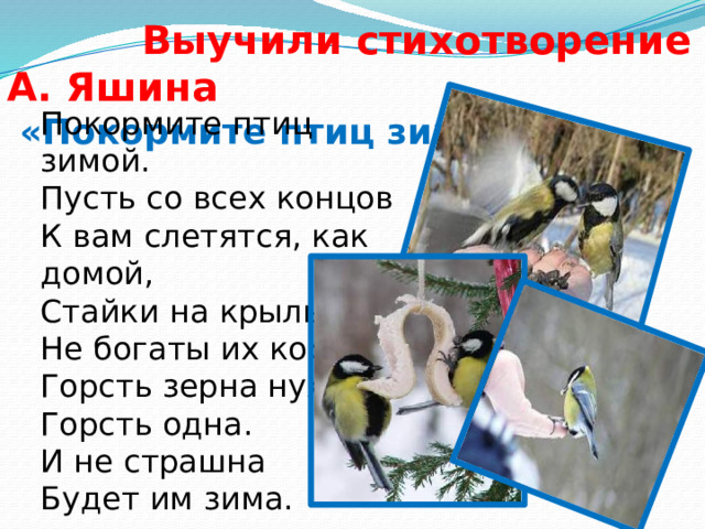 Что за стол среди берез Под открытым небом.  Угощает он в мороз птиц Зерном и хлебом. (Кормушка) Пословицы:  Голодом страшна зима птицам, а не холо-дом.   Сыта птаха и тепло ей под пухом и перьями. 