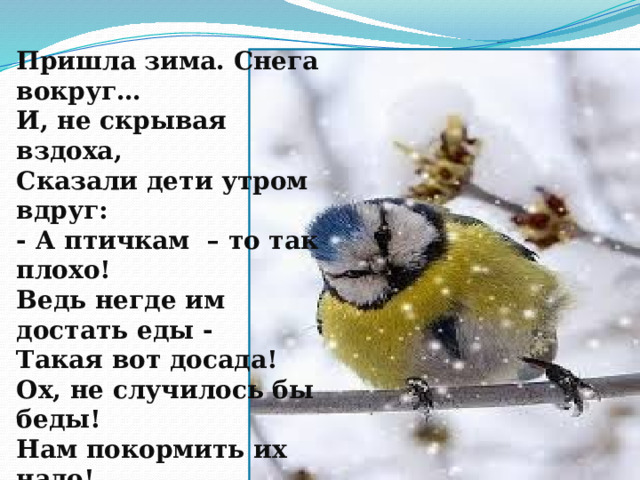 Задачи:  Расширить и обобщить знания детей о птицах;  Формировать практические навыки гуманного отношения к объектам живой природы;  Познакомить с сезонными явлениями в природе и жизни птиц;  Развивать наблюдательность и внимание; 