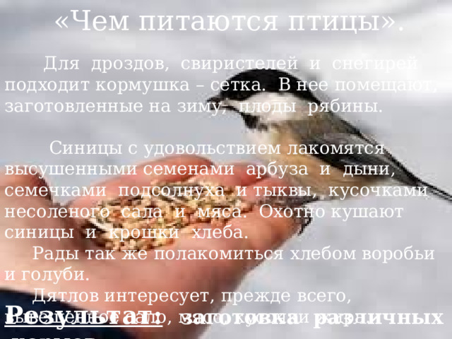 Напоминаем несколько простых правил:  У кормушки обязательно должна быть крыша, иначе корм может быть засыпан снегом или залит дождем.  Отверстие в кормушке должно быть настолько широким, чтобы птица могла спокойно проникнуть внутрь кормушки и покинуть ее. 