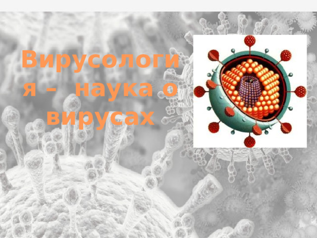 Вирусология – наука о вирусах 