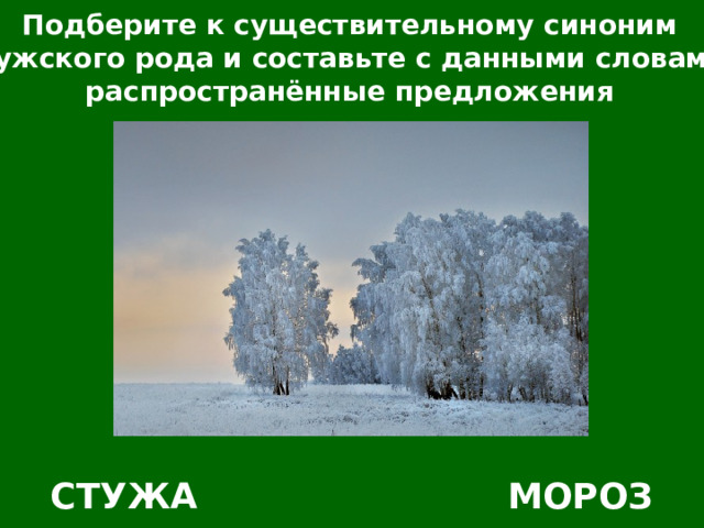 Подберите к существительному синоним мужского рода и составьте с данными словами распространённые предложения СТУЖА МОРОЗ 