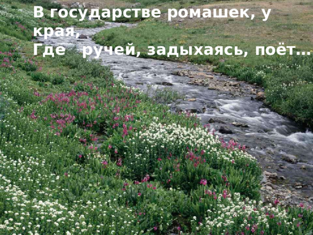 В государстве ромашек, у края, Где ручей, задыхаясь, поёт…  