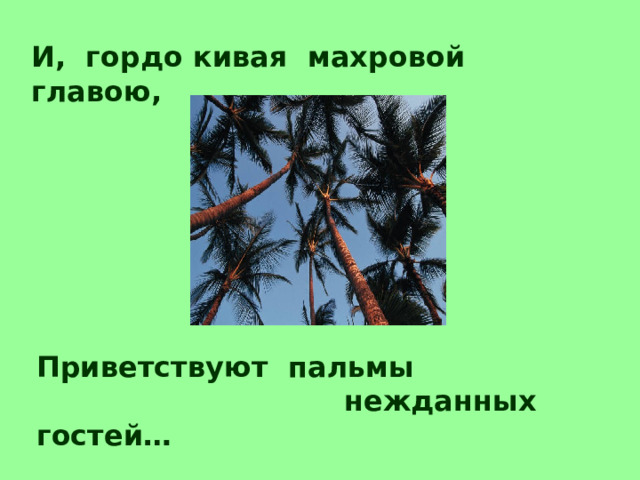 И, гордо кивая махровой главою,   Приветствуют пальмы  нежданных гостей… 