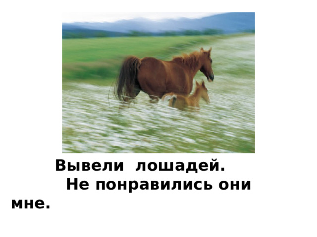 инверсия  Вывели лошадей.  Не понравились они мне.   И.С.Тургенев  
