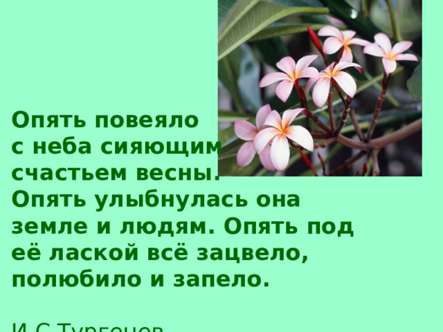  Опять повеяло с неба сияющим счастьем весны. Опять улыбнулась она земле и людям. Опять под её лаской всё зацвело, полюбило и запело.  И.С.Тургенев анафора  
