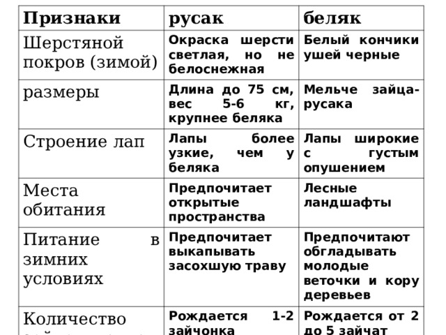 Признаки Шерстяной покров (зимой) русак размеры беляк Окраска шерсти светлая, но не белоснежная Белый кончики ушей черные Длина до 75 см, вес 5-6 кг, крупнее беляка Строение лап Места обитания Мельче зайца-русака Лапы более узкие, чем у беляка Лапы широкие с густым опушением Предпочитает открытые пространства Питание в зимних условиях Лесные ландшафты Количество зайчат в одном помете Предпочитает выкапывать засохшую траву Предпочитают обгладывать молодые веточки и кору деревьев Рождается 1-2 зайчонка Рождается от 2 до 5 зайчат 