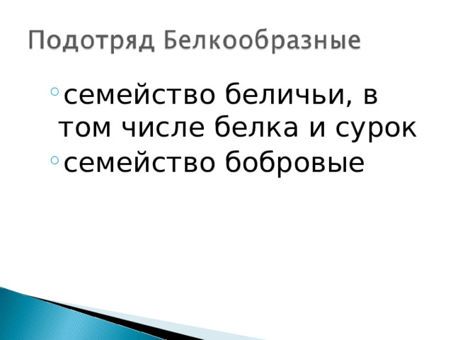 семейство беличьи, в том числе белка и сурок семейство бобровые семейство беличьи, в том числе белка и сурок семейство бобровые 