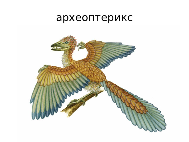 археоптерикс 
