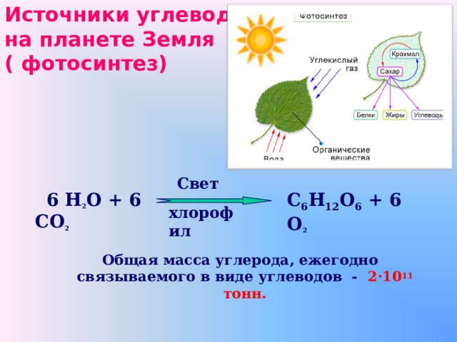 Урок углеводы 10 класс химия