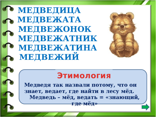 МЕДВЕДИЦА МЕДВЕЖАТА  МЕДВЕЖОНОК  МЕДВЕЖАТНИК  МЕДВЕЖАТИНА МЕДВЕЖИЙ  Этимология Медведя так назвали потому, что он знает, ведает, где найти в лесу мёд. Медведь – мёд, ведать = «знающий, где мёд» 