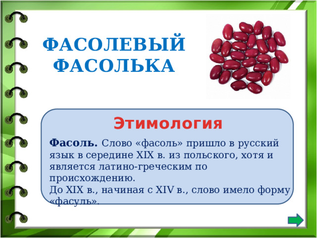 ФАСОЛЕВЫЙ ФАСОЛЬКА Этимология Фасоль. Слово «фасоль» пришло в русский язык в середине XIX в. из польского, хотя и является латино-греческим по происхождению. До XIX в., начиная с XIV в., слово имело форму «фасуль». 