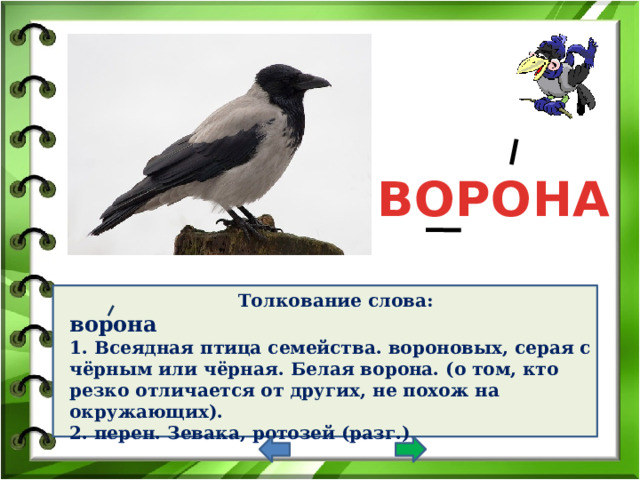 ВОРОНА Толкование слова: ворона  1. Всеядная птица семейства. вороновых, серая с чёрным или чёрная. Белая ворона. (о том, кто резко отличается от других, не похож на окружающих). 2. перен. Зевака, ротозей (разг.).   