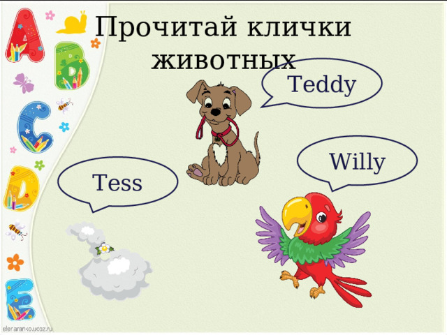 Прочитай клички животных Teddy Willy Tess 