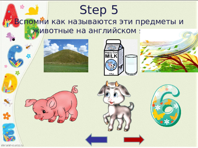 Step 5  Вспомни как называются эти предметы и животные на английском языке. 