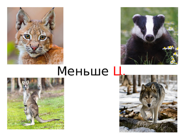 Меньше ц