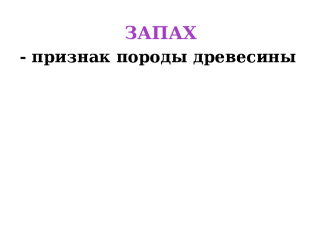ЗАПАХ - признак породы древесины 