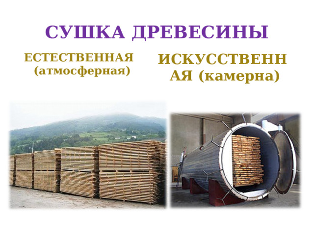 СУШКА ДРЕВЕСИНЫ ЕСТЕСТВЕННАЯ (атмосферная)  ИСКУССТВЕННАЯ (камерна)  