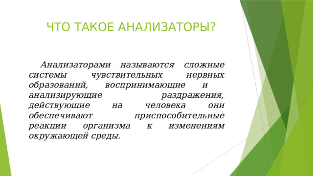 Что такое анализатор