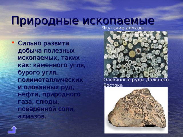 Природные ископаемые Якутские алмазы Сильно развита добыча полезных ископаемых, таких как: каменного угля, бурого угля, полиметаллических и оловянных руд, нефти, природного газа, слюды, поваренной соли, алмазов.  Оловянные руды Дальнего Востока 