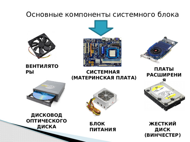  Основные компоненты системного блока вентиляторы Платы расширения Системная (материнская плата) Дисковод оптического диска Жесткий диск (винчестер) Блок питания 