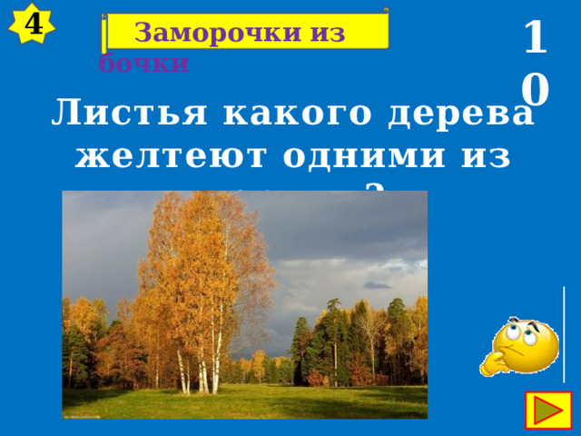 4 10  Заморочки из бочки Листья какого дерева желтеют одними из первых? 