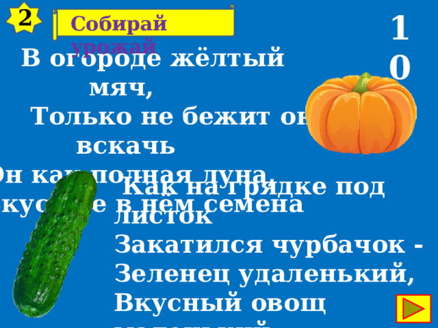 2 10 Собирай урожай  В огороде жёлтый мяч,  Только не бежит он вскачь  Он как полная луна,  Вкусные в нём семена   Как на грядке под листок Закатился чурбачок - Зеленец удаленький, Вкусный овощ маленький 