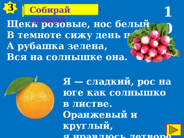 3 10 Собирай урожай Щеки розовые, нос белый,  В темноте сижу день целый.  А рубашка зелена,  Вся на солнышке она.  Я — сладкий, рос на юге как солнышко в листве. Оранжевый и круглый, я нравлюсь детворе. 