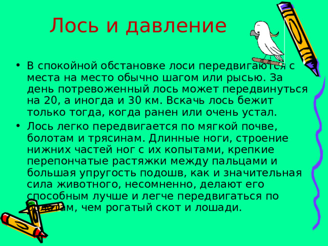 Лось и давление В спокойной обстановке лоси передвигаются с места на место обычно шагом или рысью. За день потревоженный лось может передвинуться на 20, а иногда и 30 км. Вскачь лось бежит только тогда, когда ранен или очень устал. Лось легко передвигается по мягкой почве, болотам и трясинам. Длинные ноги, строение нижних частей ног с их копытами, крепкие перепончатые растяжки между пальцами и большая упругость подошв, как и значительная сила животного, несомненно, делают его способным лучше и легче передвигаться по болотам, чем рогатый скот и лошади. 