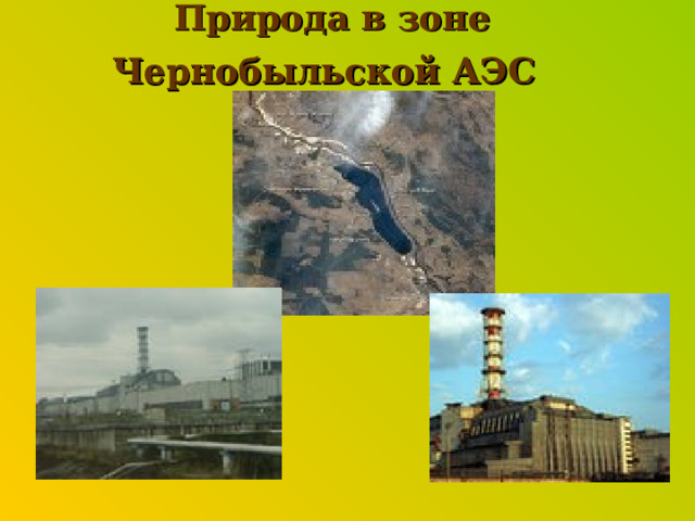 Природа в зоне Чернобыльской АЭС  