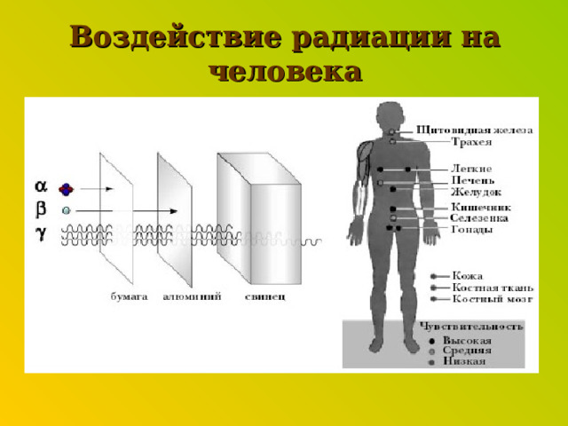 Воздействие радиации на человека 