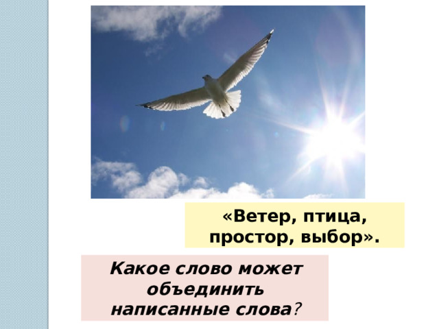 «Ветер, птица, простор, выбор». Какое слово может объединить написанные слова ? 