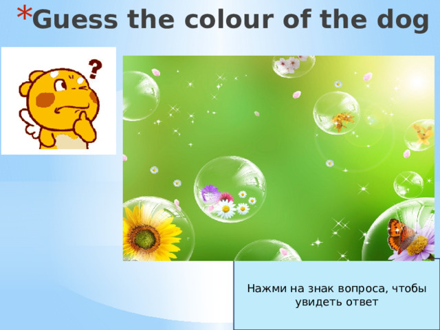 Guess the colour of the dog Нажми на знак вопроса, чтобы увидеть ответ 
