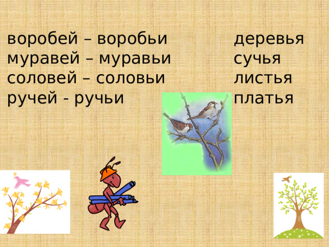 воробей – воробьи  муравей – муравьи  соловей – соловьи  ручей - ручьи деревья  сучья  листья платья 