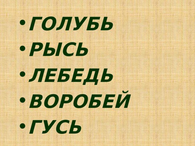 ГОЛУБЬ РЫСЬ ЛЕБЕДЬ ВОРОБЕЙ ГУСЬ 