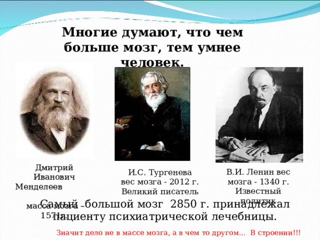 Мозги тургенева. Вес мозга Тургенева. Менделеев масса мозга. Мозг Тургенева весил. Вес мозга Ленина.