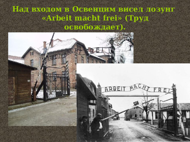 Над входом в Освенцим висел лозунг  « Arbeit macht frei » (Труд освобождает). 