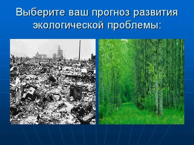Экологические проблемы мира проект Экологические проблемы мира