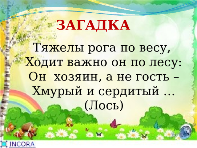 ЗАГАДКА Тяжелы рога по весу,   Ходит важно он по лесу:  Он  хозяин, а не гость –  Хмурый и сердитый …  (Лось) 