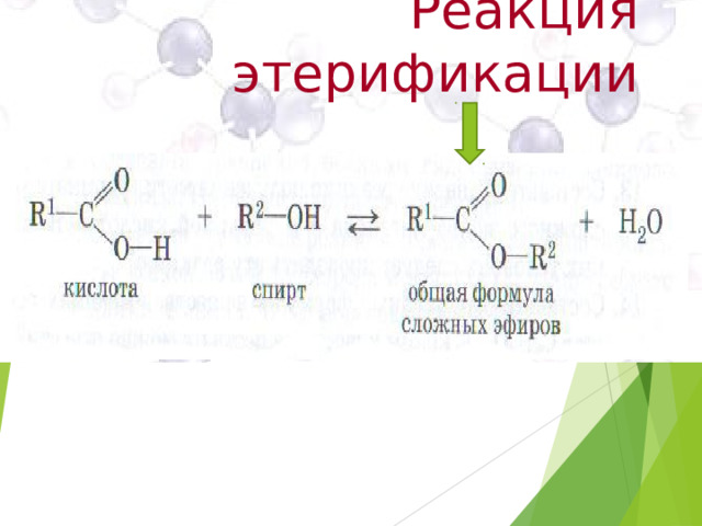 Реакция этерификации 