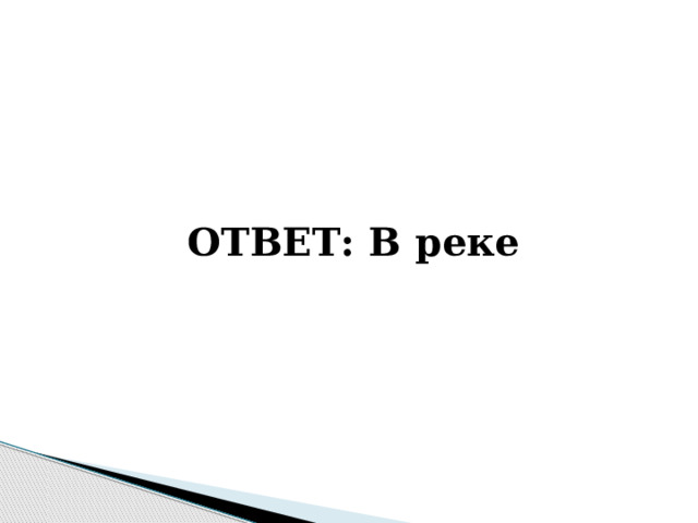  ОТВЕТ: В реке 