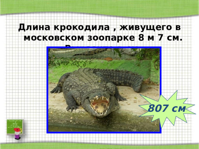 Длина крокодила , живущего в московском зоопарке 8 м 7 см. Выразите в см. 807 см 