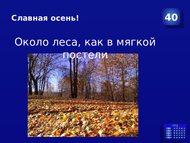Славная осень! 40 Около леса, как в мягкой постели 