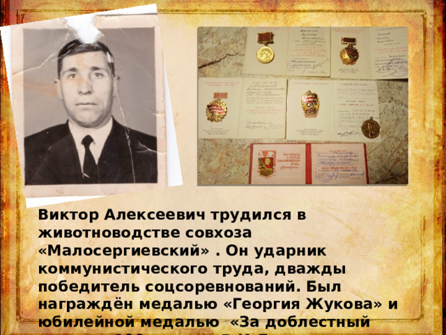 Виктор Алексеевич трудился в животноводстве совхоза «Малосергиевский» . Он ударник коммунистического труда, дважды победитель соцсоревнований. Был награждён медалью «Георгия Жукова» и юбилейной медалью «За доблестный труд» к 100- летию В.И.Ленина 