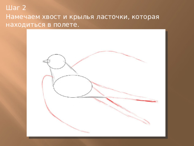Шаг 2 Намечаем хвост и крылья ласточки, которая находиться в полете. 