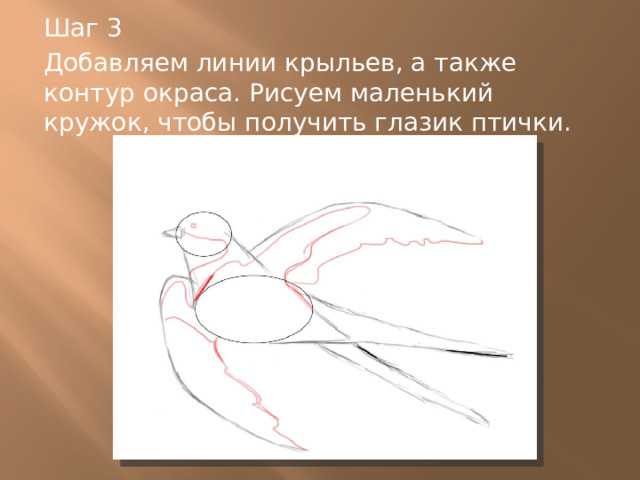 Шаг 3 Добавляем линии крыльев, а также контур окраса. Рисуем маленький кружок, чтобы получить глазик птички. 