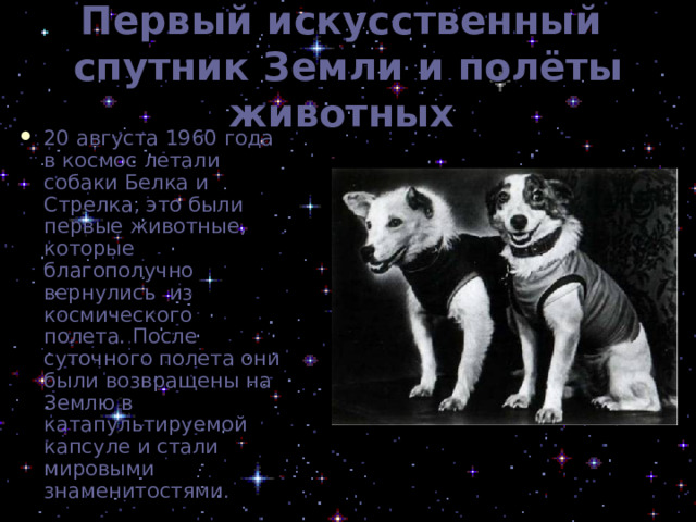 Первый искусственный  спутник Земли и полёты животных  20 августа 1960 года в космос летали собаки Белка и Стрелка, это были первые животные, которые благополучно вернулись из космического полета. После суточного полета они были возвращены на Землю в катапультируемой капсуле и стали мировыми знаменитостями. 