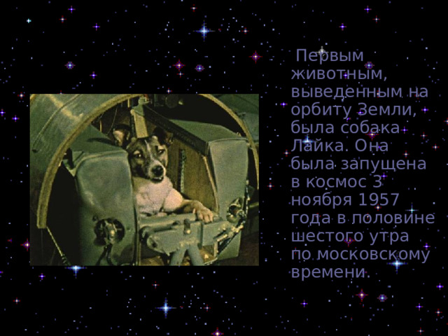  Первым животным, выведенным на орбиту Земли, была собака Лайка. Она была запущена в космос 3 ноября 1957 года в половине шестого утра по московскому времени. 
