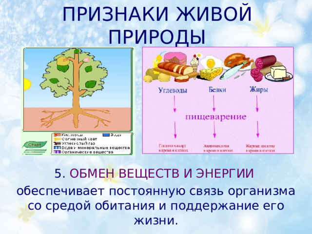 Схема признаки живой природы