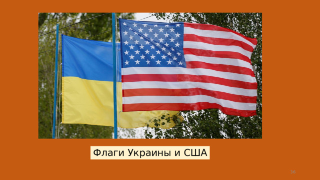 Флаги Украины и США  