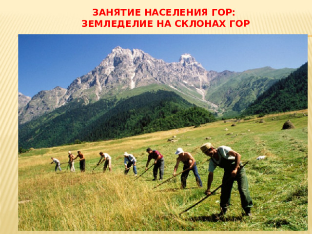 Занятие населения гор:  земледелие на склонах гор 